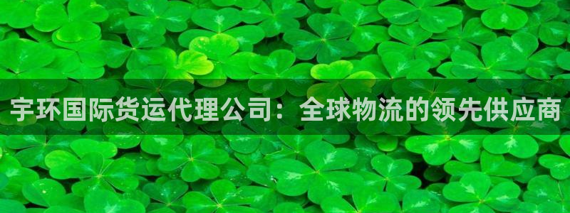 z6尊龙凯时官方：宇环国际货运代理公司：全球物流的领先供