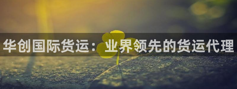 尊龙官网免费下载安装：华创国际货运：业界领先的货运代理