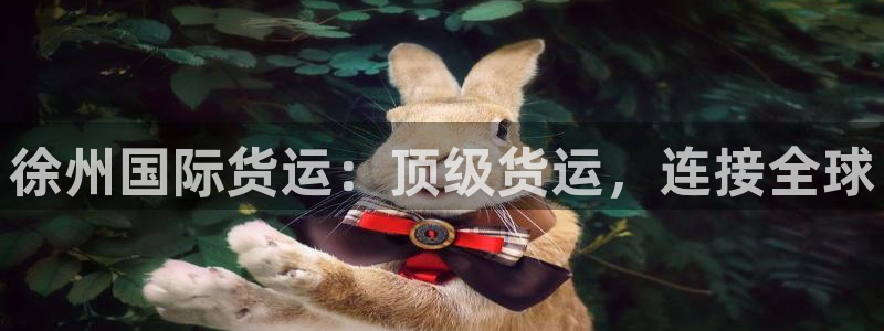 尊龙凯时ag旗舰厅官：徐州国际货运：顶级货运，连接全球