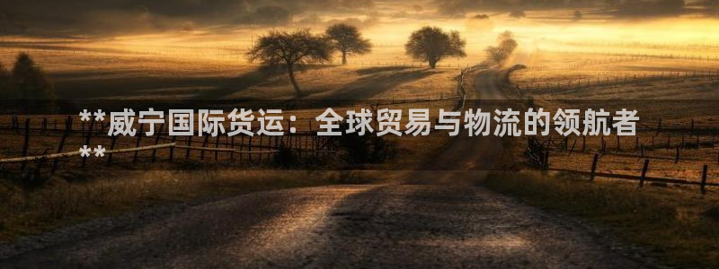 尊龙人生就是博首页入口：**威宁国际货运：全球贸易与物流