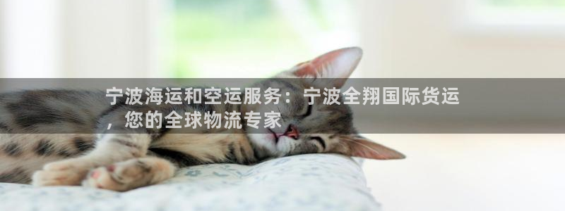 尊龙凯时网站赌愽是真的吗：宁波海运和空运服务：宁波全翔国