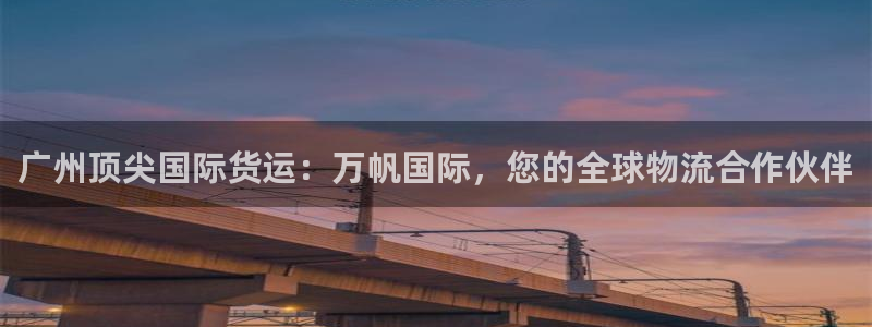 尊龙凯时 - 人生就是搏!：广州顶尖国际货运：万帆国际，