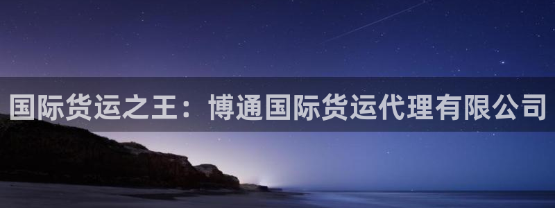 尊龙体育电竞官网：国际货运之王：博通国际货运代理有限公司