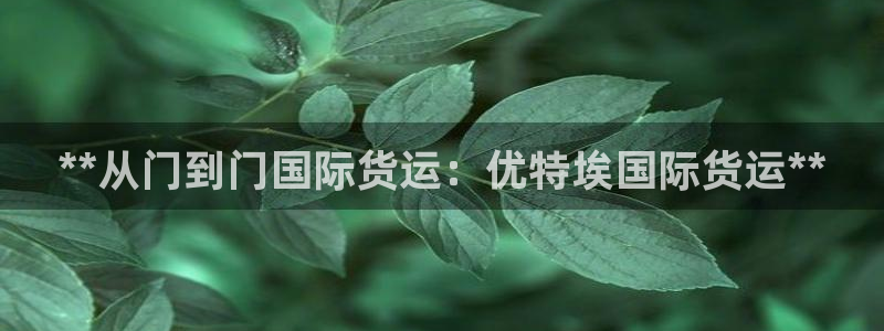 尊龙z6平台：**从门到门国际货运：优特埃国际货运**