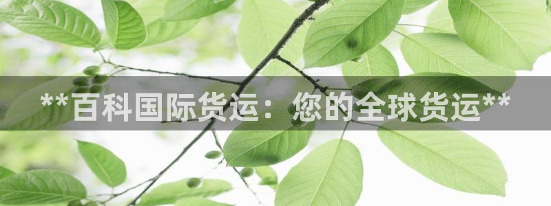 尊龙凯时d5138：**百科国际货运：您的全球货运**
