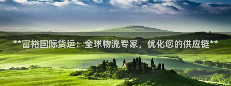 尊龙凯时官网正规吗：**富裕国际货运：全球物流专家，优化