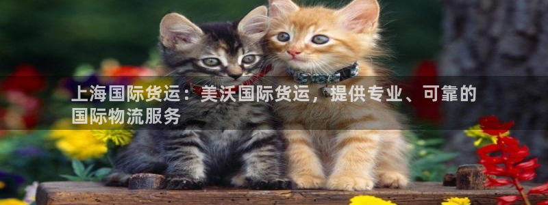 尊龙凯时网页版：上海国际货运：美沃国际货运，提供专业、可