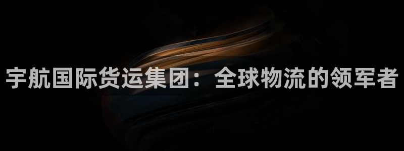 尊龙公司：宇航国际货运集团：全球物流的领军者
