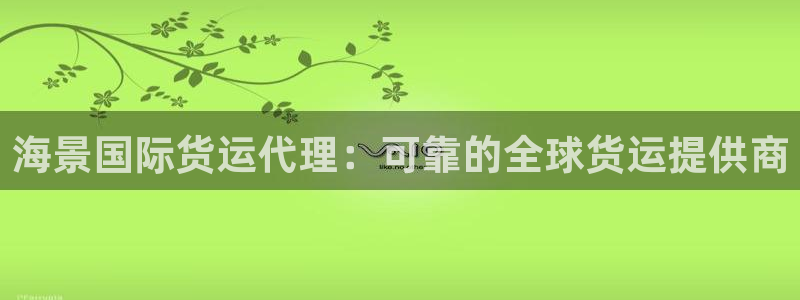 尊龙网址是多少：海景国际货运代理：可靠的全球货运提供商