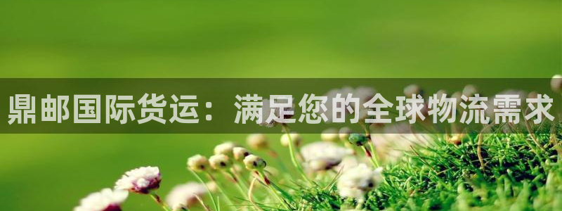 尊龙凯时ag旗舰厅官方网站：鼎邮国际货运：满足您的全球物