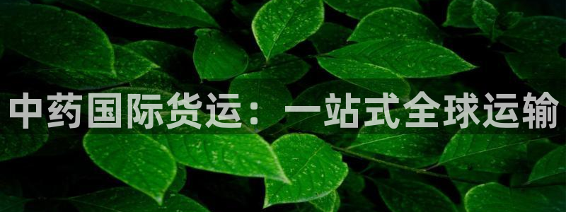 尊龙人生就是博旧版现：中药国际货运：一站式全球运输