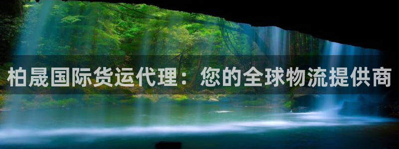 尊龙 国外：柏晟国际货运代理：您的全球物流提供商