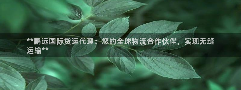 尊龙物流怎么样：**鹏远国际货运代理：您的全球物流合作伙