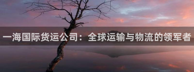 尊龙实业有限公司是正规还是仿：一海国际货运公司：全球运输
