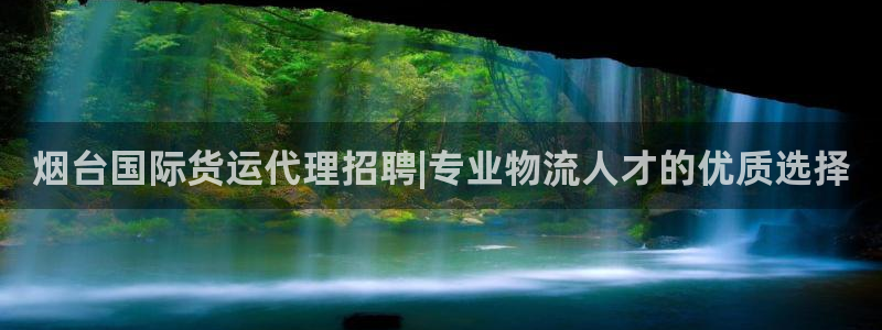 尊龙网址是多少：烟台国际货运代理招聘|专业物流人才的优质