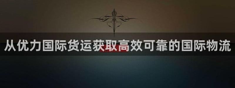 尊龙人生就是博电脑版：从优力国际货运获取高效可靠的国际物