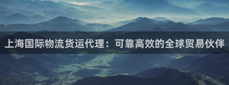 尊龙凯时邀请码：上海国际物流货运代理：可靠高效的全球贸易