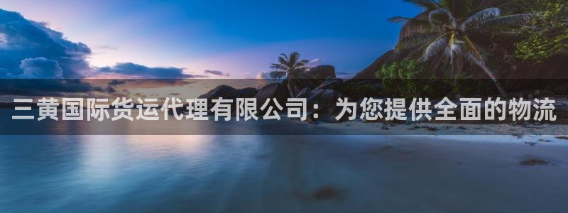 尊龙d88平台登录：三黄国际货运代理有限公司：为您提供全