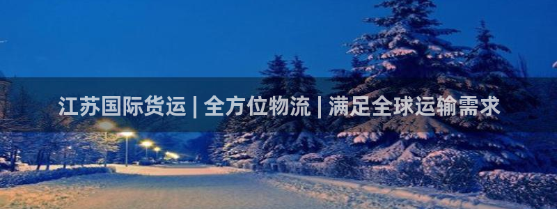 尊龙凯时输了100万：江苏国际货运 | 全方位物流 | 