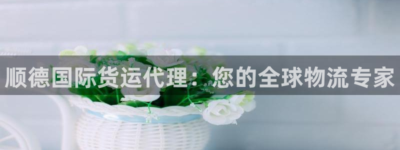 尊龙凯时开发：顺德国际货运代理：您的全球物流专家