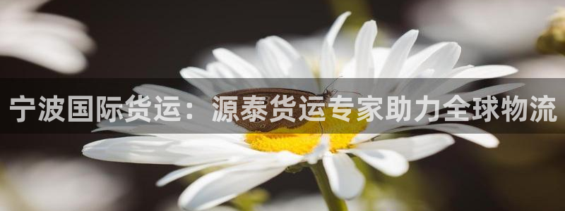 尊龙凯时人生就是搏官：宁波国际货运：源泰货运专家助力全球