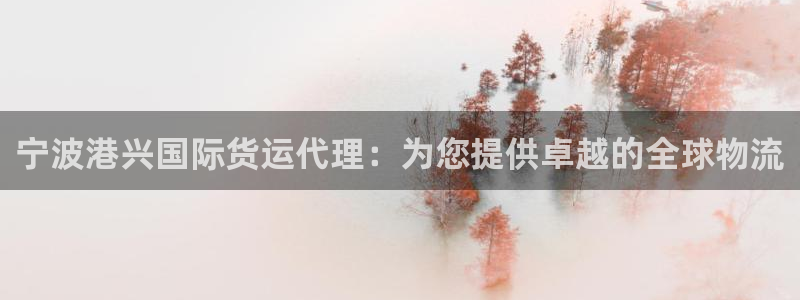 尊龙凯时家居是品牌吗：宁波港兴国际货运代理：为您提供卓越