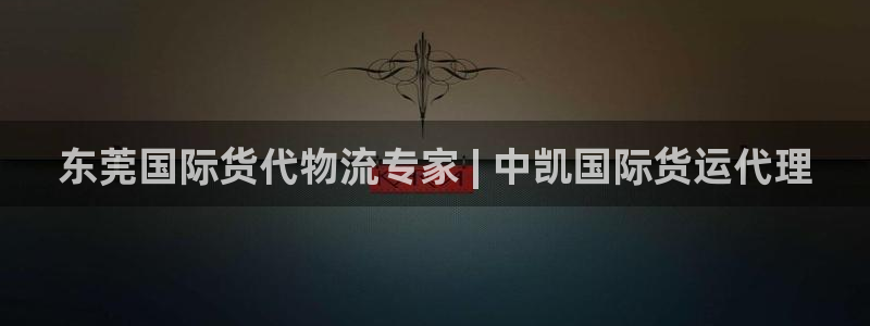 尊龙凯时代理：东莞国际货代物流专家 | 中凯国际货运代理
