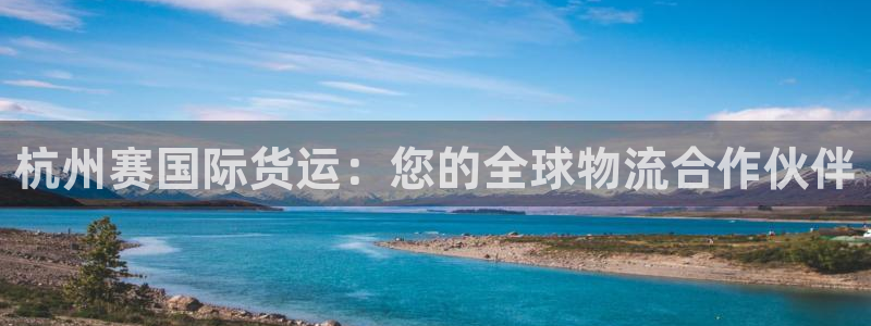 尊龙旗舰厅app：杭州赛国际货运：您的全球物流合作伙伴