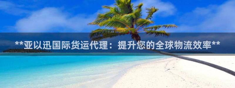 尊龙用现金一下可靠送38元：**亚以迅国际货运代理：提升