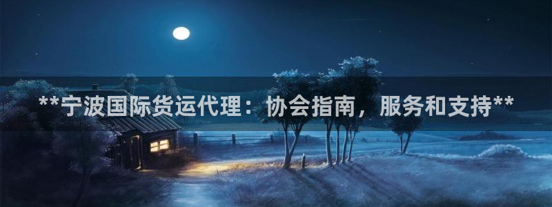 尊龙下载推荐网站：**宁波国际货运代理：协会指南，服务和
