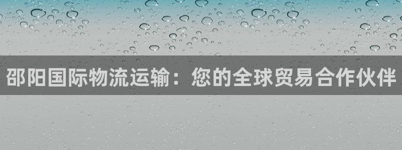 尊龙凯时不给提现怎么办：邵阳国际物流运输：您的全球贸易合