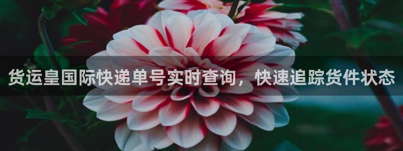尊龙凯时登陆入口：货运皇国际快递单号实时查询，快速追踪货