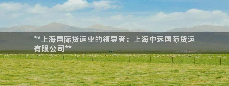 尊龙人生就是博旧版现金娱乐一下：**上海国际货运业的领导