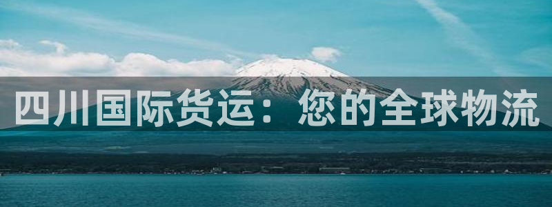 尊龙个人资料简介：四川国际货运：您的全球物流