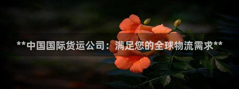 尊龙手机官方客户端下载：**中国国际货运公司：满足您的全