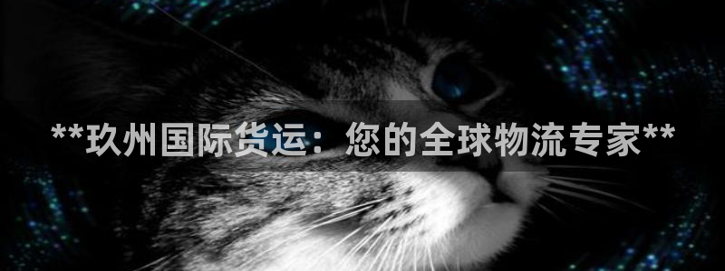 尊龙凯时和九游会哪个平台好一点：**玖州国际货运：您的全