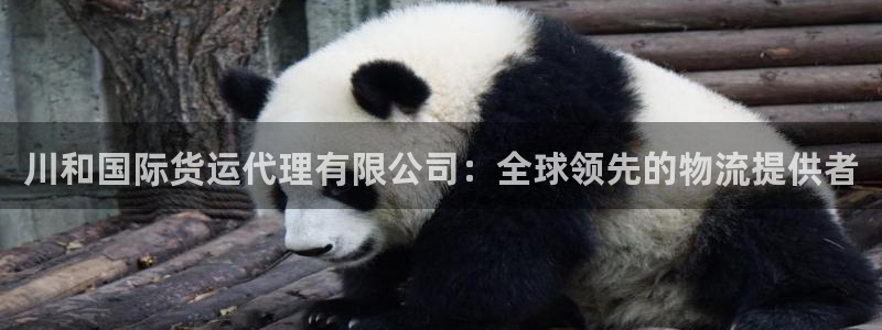尊龙新版人生就是博!