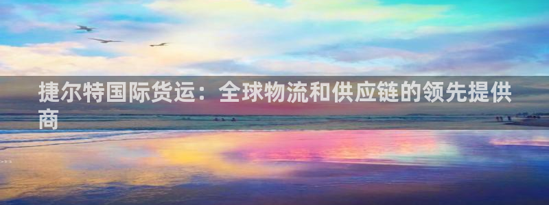 尊龙凯时代理官网入口：捷尔特国际货运：全球物流和供应链的
