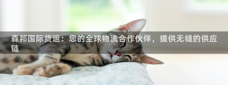 尊龙凯时 - 人生就是搏手机登录：森邦国际货运：您的全球
