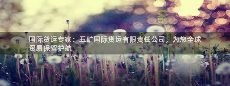 尊龙ag旗舰厅官网·(中国)官方入口：国际货运专家：五矿
