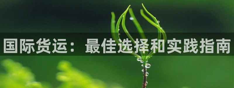 尊龙凯时几百万怎么下款：国际货运：最佳选择和实践指南