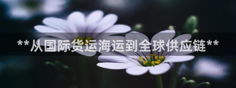 尊龙人生就是博电脑版：**从国际货运海运到全球供应链**