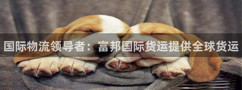 尊龙凯时人生就博官网：国际物流领导者：富邦国际货运提供全