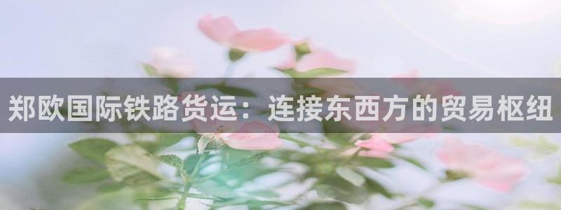 尊龙实业：郑欧国际铁路货运：连接东西方的贸易枢纽