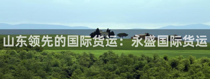 尊龙凯时充十万返现多少：山东领先的国际货运：永盛国际货运
