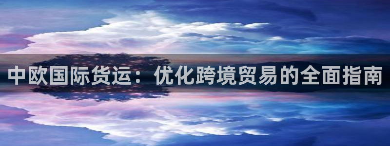 尊龙ag旗舰厅手机版：中欧国际货运：优化跨境贸易的全面指