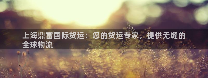 尊龙t600怎么样：上海鼎富国际货运：您的货运专家，提供
