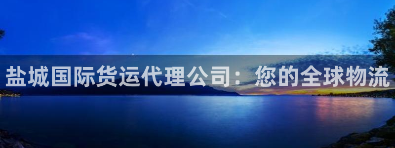 尊龙AG发财网：盐城国际货运代理公司：您的全球物流