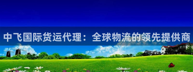 尊龙人生就是博登录首页：中飞国际货运代理：全球物流的领先