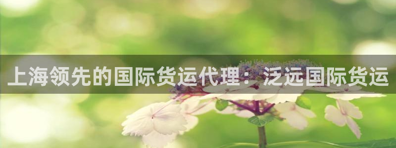 尊龙软件下载